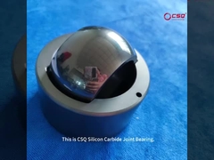 یاتاقان مفصلی سرامیکی SSIC برای پمپ ها