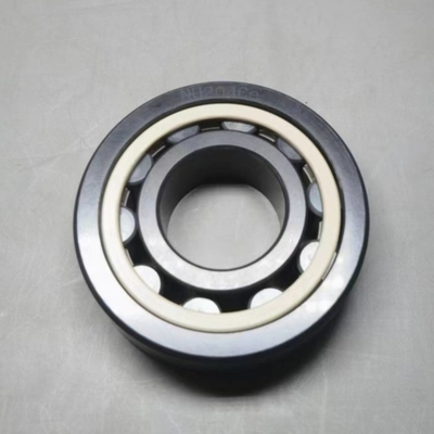SSiC Ceramic Roller Bearings NU 204 Balls PEEK Cage 20×47×14mm